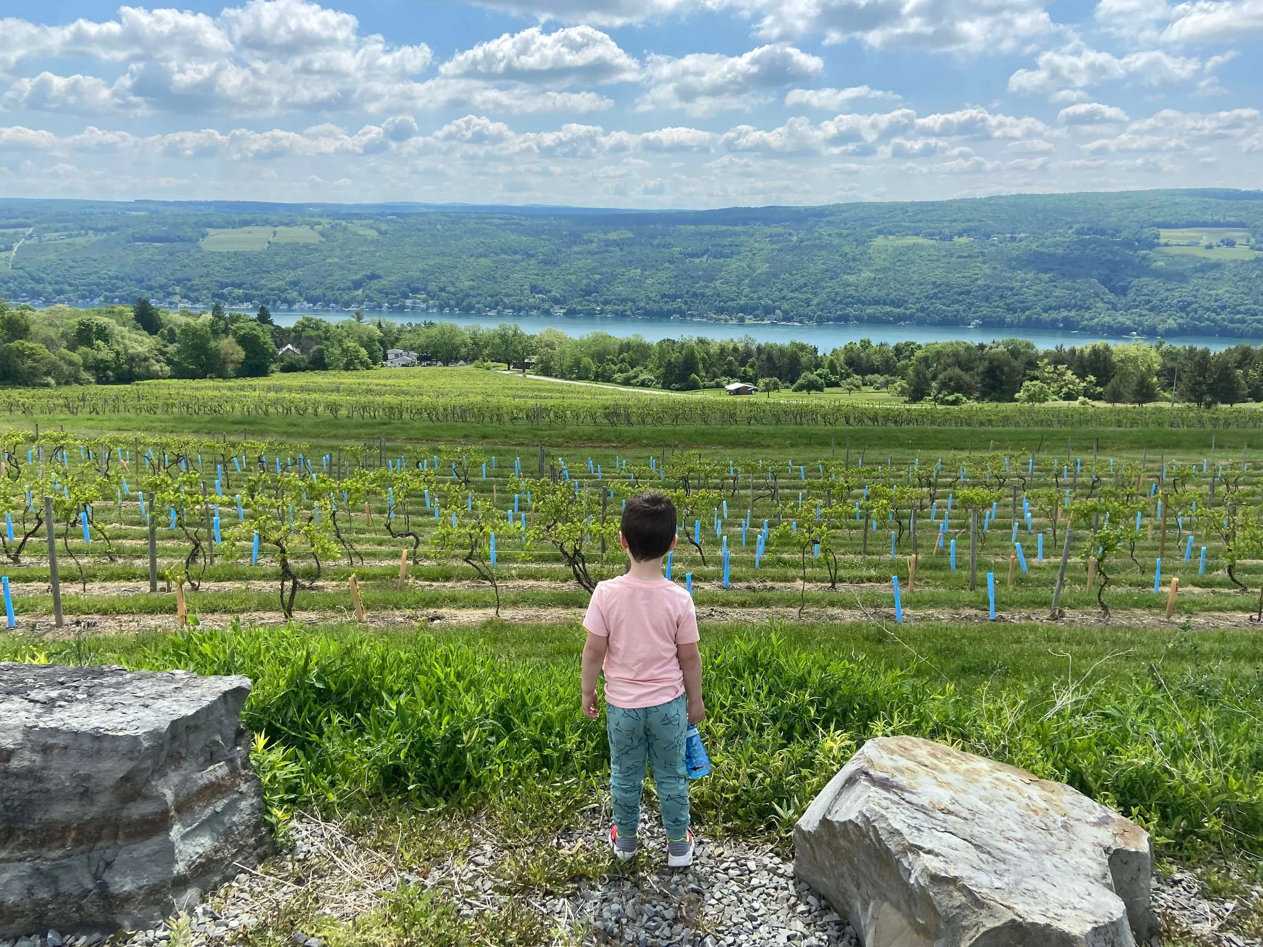 Lake clearance keuka wineries